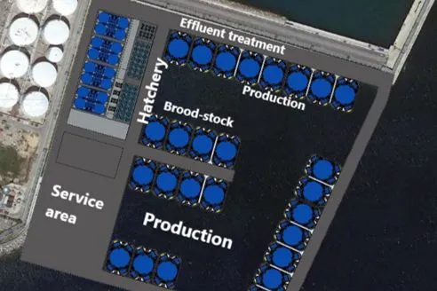 Next Tuna: Proyecto conceptual y básico de ingeniería eléctrica del concepto energético de Next Tuna, una piscifactoría de atún con balsas flotantes no propulsadas (sistema RAS-X).